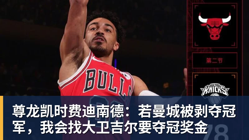 尊龙凯时费迪南德：若曼城被剥夺冠军，我会找大卫吉尔要夺冠奖金